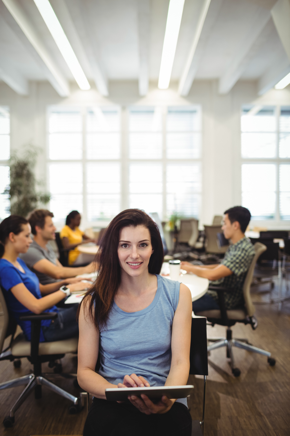 Diretriz Contabilidade e Consultoria